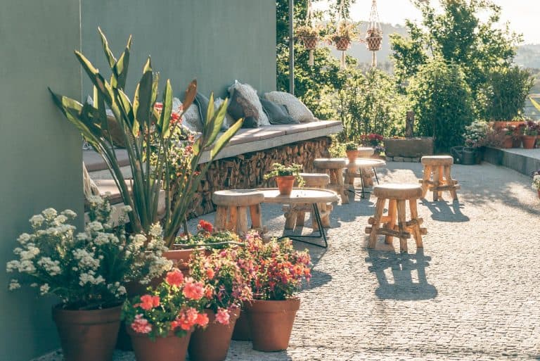 7_day_retreat_portugal-3